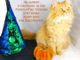 Halloween orange witch cat Ginger free shipping phoenixfire designs halloween jewelry, glow in the dark full moon tree of life, moonstone necklace at etsy. Discount, sale, coupon code for etsy shop!